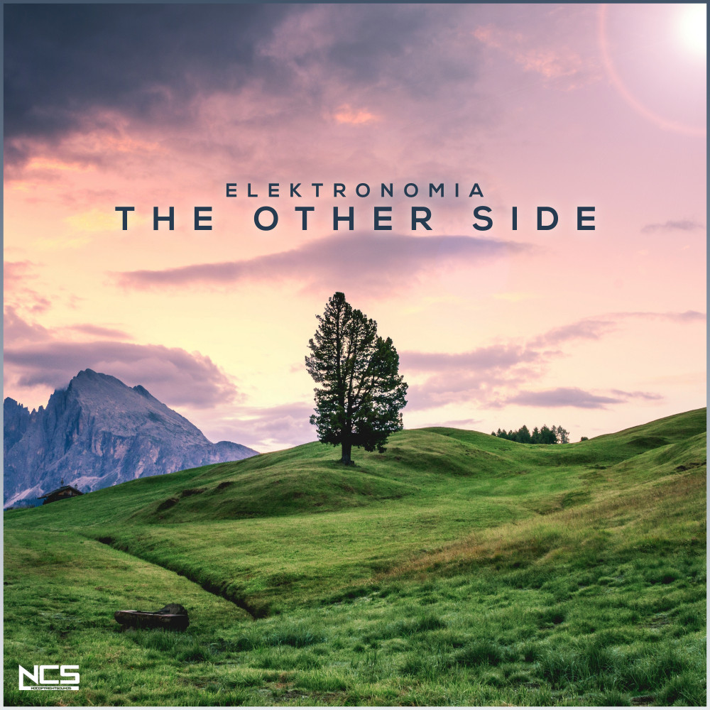 Elektronomia - The Other Side